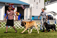 20230903-DSC03725