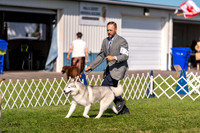 20230903-DSC03738