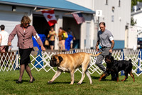20230903-DSC03728