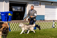 20230903-DSC03740