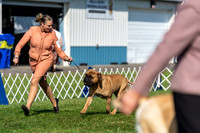 20230903-DSC03747