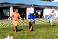20230903-DSC03758