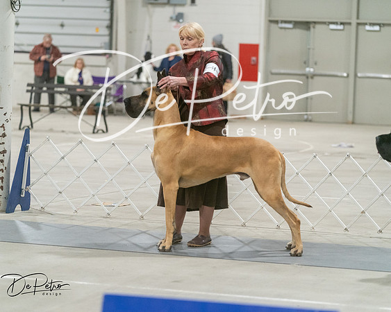 20250302-DSC07802
