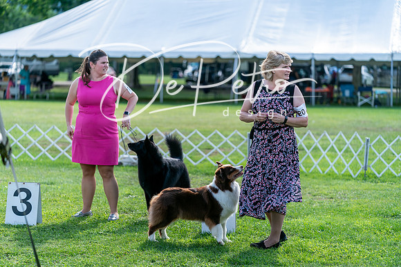 20240630-DSC05025
