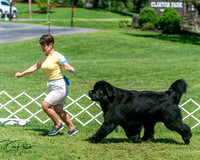 20250629-DSC09668