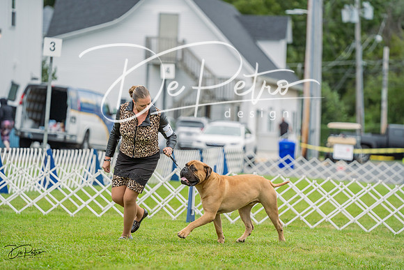 20230902-DSC01448