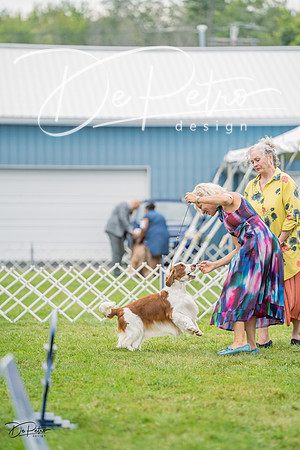 20230902-DSC01547