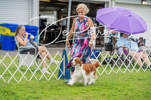 20230902-DSC01623