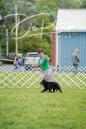 20230902-DSC01642