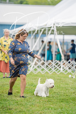 20230902-DSC01676
