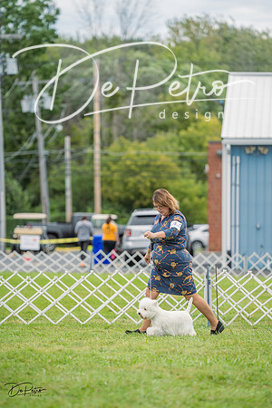 20230902-DSC01693