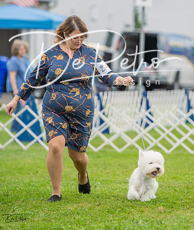 20230902-DSC01719