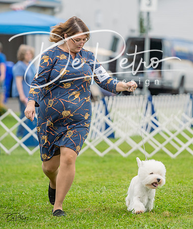 20230902-DSC01723
