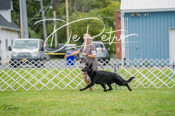 20230902-DSC01784