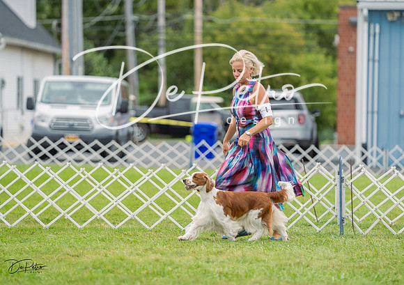 20230902-DSC01852
