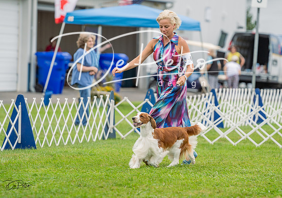 20230902-DSC01866