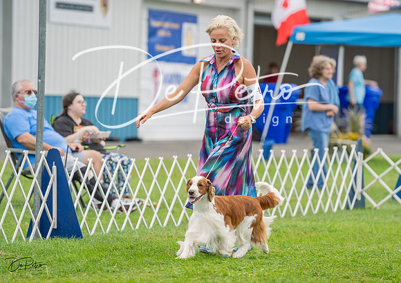 20230902-DSC01873