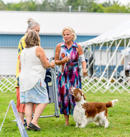 Best in Show