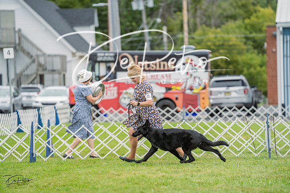 20230902-DSC01398