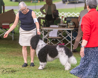 20250628-DSC08906