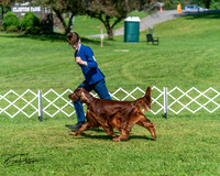 20250629-DSC01087