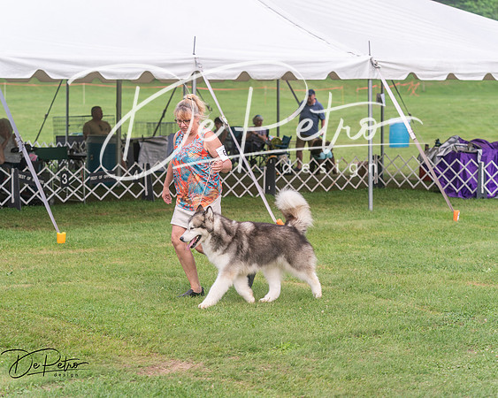 20250628-DSC08799