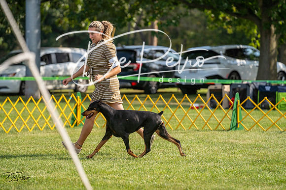 20230908-DSC04725