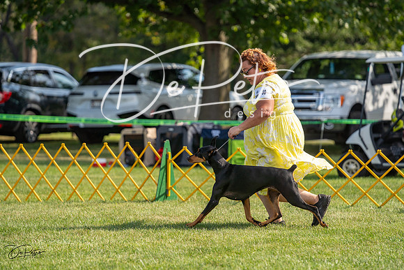 20230908-DSC04734