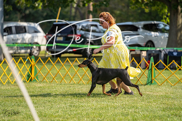 20230908-DSC04739
