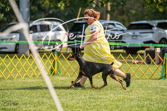 20230908-DSC04741
