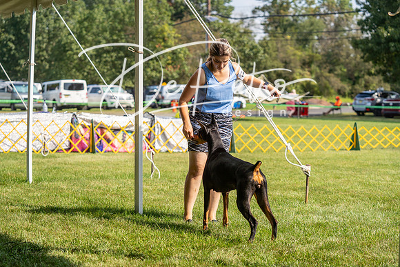 20230908-DSC04757