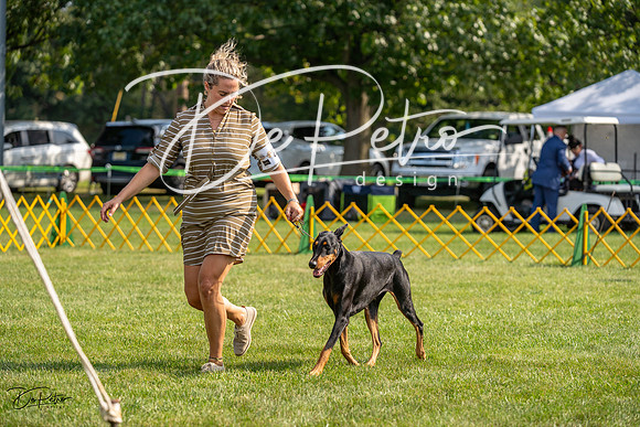 20230908-DSC04785