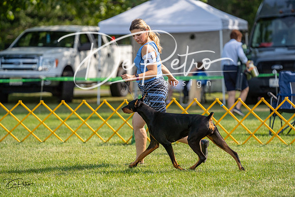 20230908-DSC04812