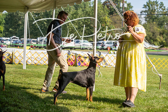 20230908-DSC04801