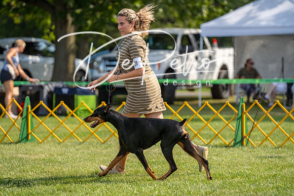 20230908-DSC04822