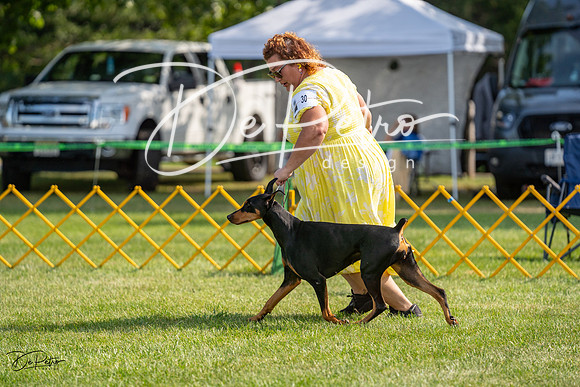 20230908-DSC04829