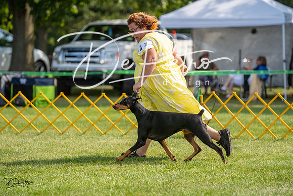 20230908-DSC04831