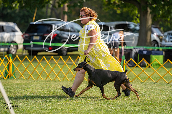 20230908-DSC04838