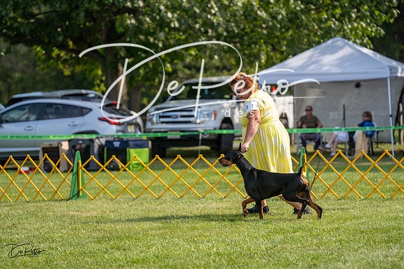 20230908-DSC04843