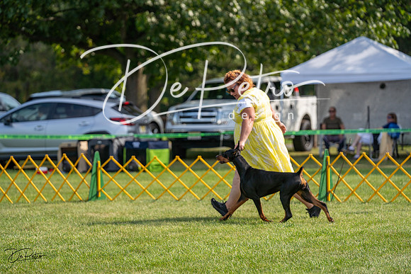 20230908-DSC04844