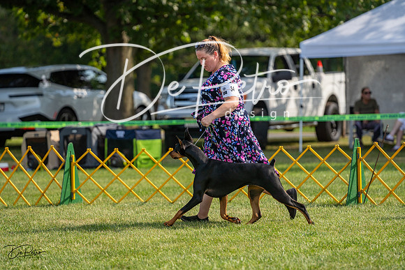 20230908-DSC04863