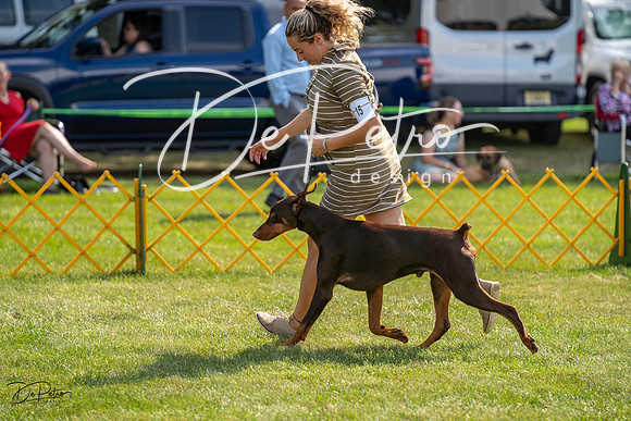 20230908-DSC04910