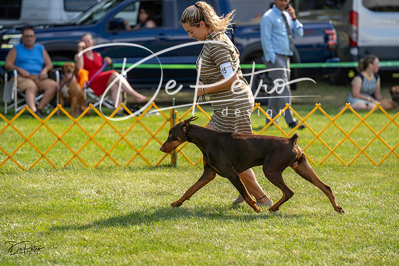20230908-DSC04912