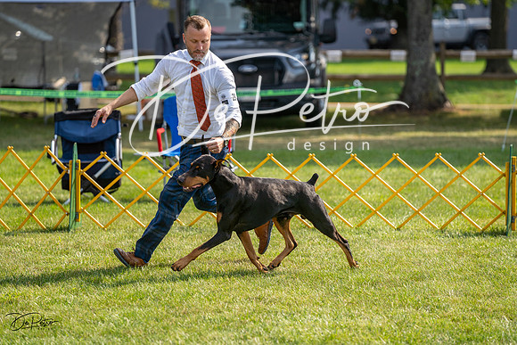 20230908-DSC04937