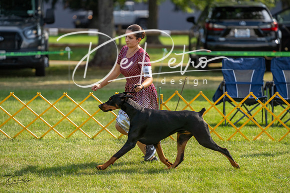 20230908-DSC04929