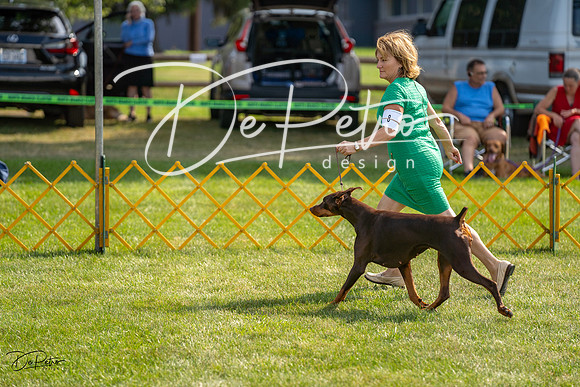 20230908-DSC04949