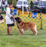 20230908-DSC05368