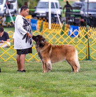 20230908-DSC05369