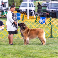 20230908-DSC05367