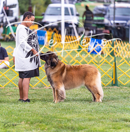 20230908-DSC05367